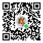 公众号